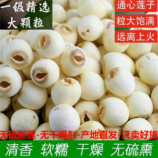 ��̶ɏ�Ӹ�؛500gȥо��؛ɏ�Ӹ�؛�ؼ��o��Ұ��ɏ�����rĥƤɏ��