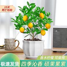 ��ˮ���ʘ����Կ�ʳ��ˮ���Gֲ�Ϙ��绨��ֲ���҃Ȼ��ļ����B�׻�