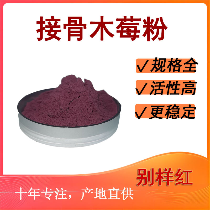 接骨木莓粉水溶性接骨木果汁粉黑接骨木果粉  接骨木莓提取物