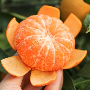 ���r�����ָ̏V�����Q����ˮ������������]���̽�ɳ����ɰ����