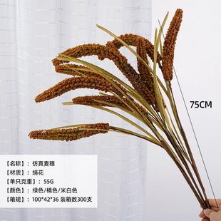 ����ֲ�����뵾�ȵ���ˮ�����滨��@�Lˮ���Gֲ�Ҿ��b��Ĕz����