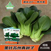 ~KNӰ_ڴ^С˷NѺͺļͲﶬݽ