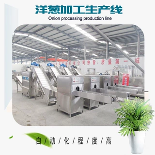 洋葱切根脱皮流水线可连续工作圆葱割根去皮生产线洋葱加工设备