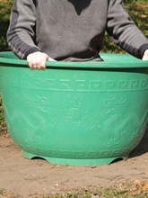 ϻlشӺӲ̨ͥԺNAбP͕