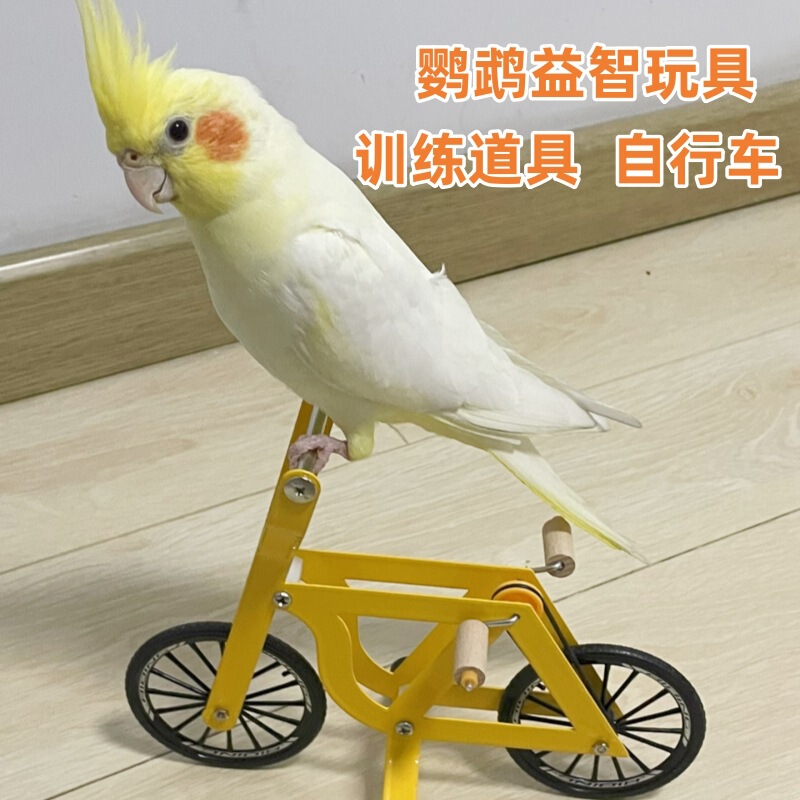 Parrot bicycle toy bird training supplies props tiger skin peony Xuanfeng yellow bicycle training intelligence toys
