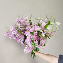 �ձ�3D�ɚ��ɫ�����㶹�� Ʒ�| �Ĕz���� ��ˇ �@��ɫϵ ����ɫ