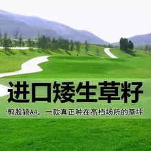 ͺļƺѶݰĽѻ첥ݷN