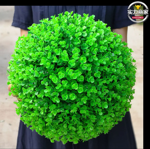 ��������ȼ���޹�²����m�̳ǵ�픲����b����䶨�Ʒ���Gֲ