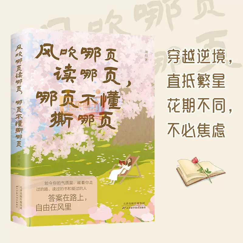 风吹哪页读哪页，哪页不懂撕哪页 青春文学书籍
