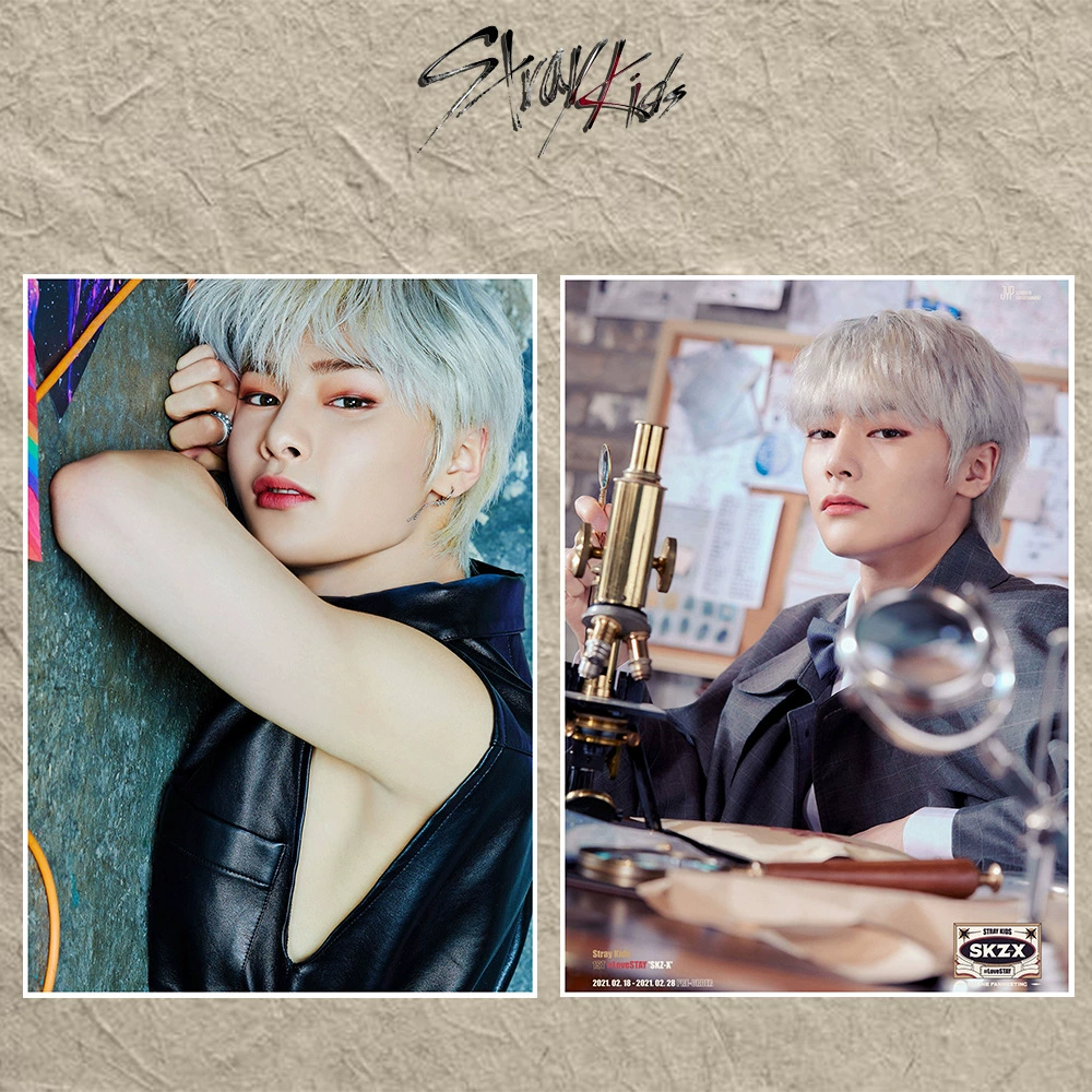 Странники (Stray Kids) встреча поклонников SKZ-X постер стикер-плакат фотографии SKZ олень патч патч