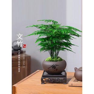 ��������ֲ���҃ȿ͏d��ʽ�U��΢�辰�k�����滨�܄�������С�Gֲ