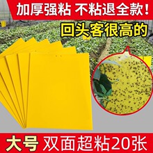 ճ�x���S���p���T�x���N����С�w�xմ��ω�T�������@�����nω����