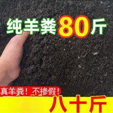 SlЙCʻ߲˹ϹüuSNBS