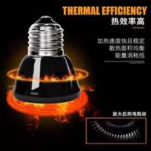 保温灯陶瓷加热灯红外线加热灯养殖乌龟寄居蟹蜥蜴爬宠宠物