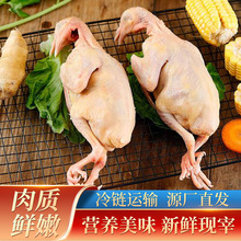 ���r�������r���� ����Ƥ�����L�ڹ����Ƶ�ʳ�Ç��� ���ӬF؛���l