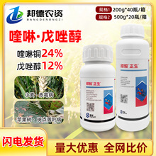 ������� 36%�����������~��ù���P���~�߲�С���O���䚢����