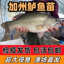 |~ں|~ˮ|~Z~||~·Bֳ~