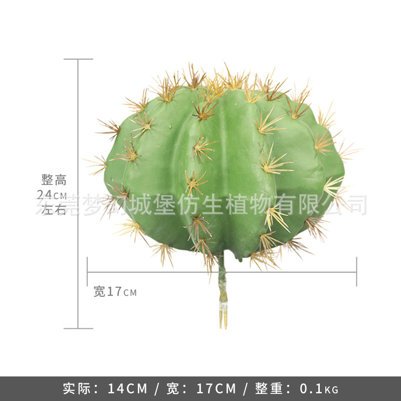 Simulación nórdica Planta verde Pilar de hadas Cactus grande piso interior sala de estar ropa tienda decoración de ventana