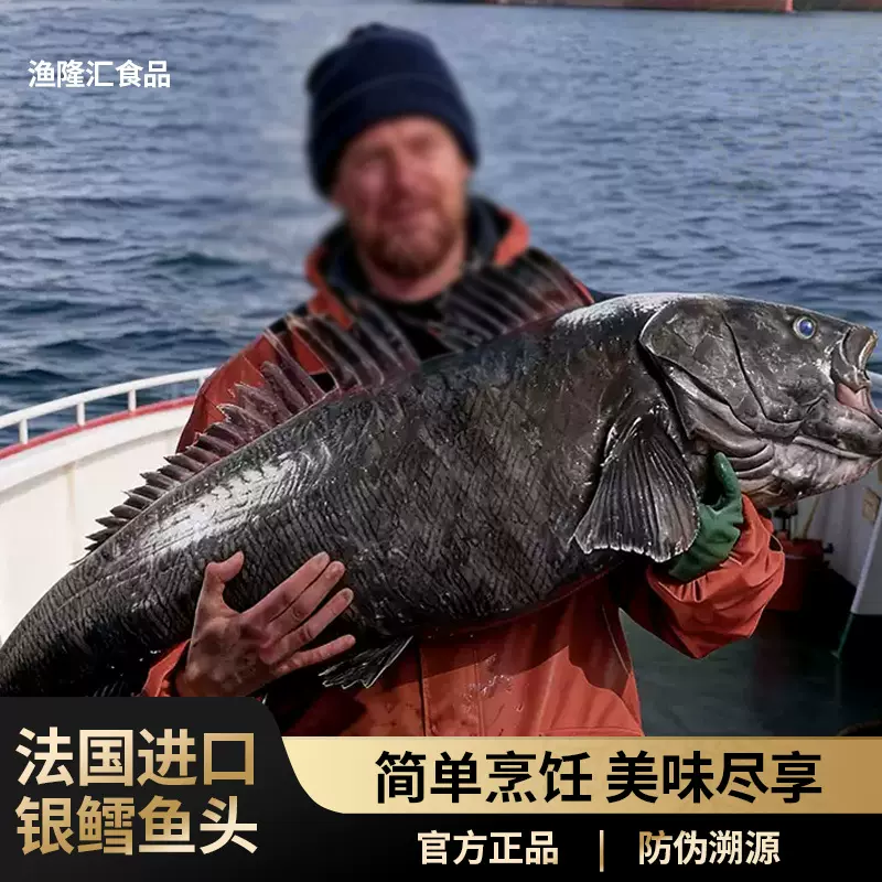 法国银鳕鱼头冷冻整个南极犬牙餐饮烹饪食材鳕冻品南极犬牙鱼头