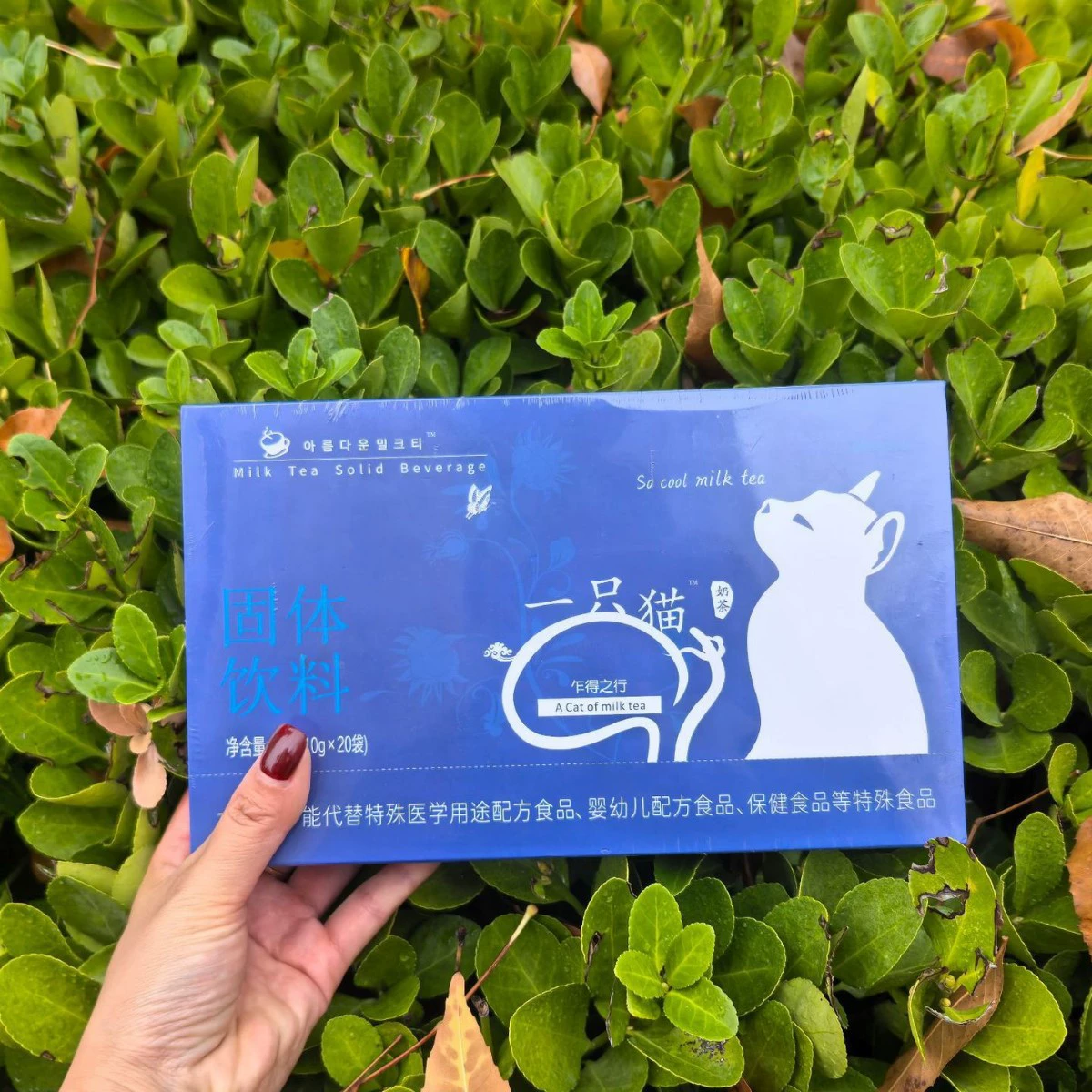 Spot А кошка WeChat бизнес Xiaohongshu та же подлинная кофейня Обновленная улучшенная версия Полноразмерная насадка Производитель первой версии