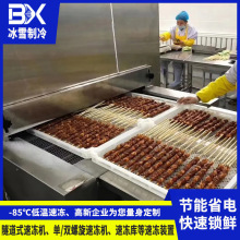 厂家定制隧道式速冻机 羊肉牛肉猪肉速冻设备 食品网带式速冻设备