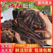 ���w������r��V���������S�X����ش�����������������~