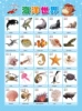Aquatic creatures