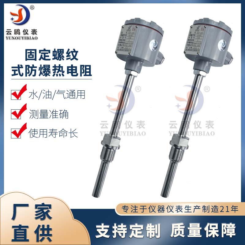 固定螺纹式防爆热电阻 WZP-240温度传感器PT100隔爆铂热电阻
