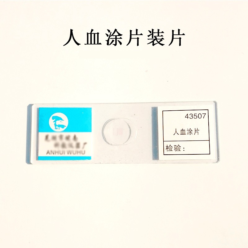 Phết máu người