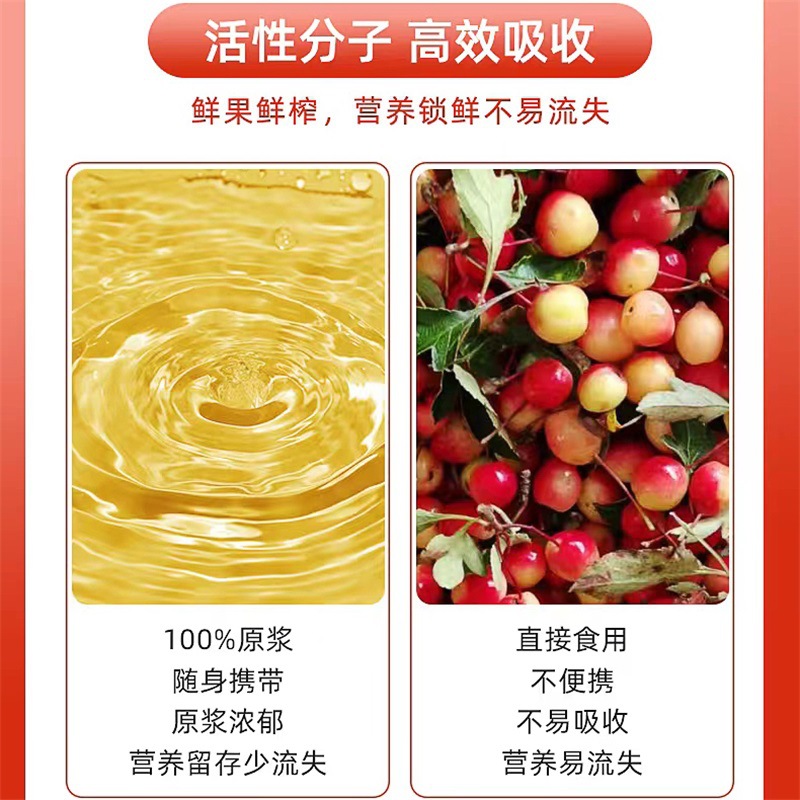 Tibetano original hoja cambiante Begonia fruta pulpa nutrición fresco prensado nieve región meseta fruta rusa fruta fresca molienda al por mayor entrega de una sola pieza