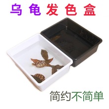 乌龟发色盒子黑带盖乌龟缸饲养鱼龟苗孵化隔离盒套缸分养