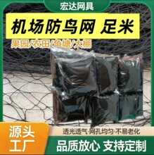 防鸟网  鸟网 黑色 机场防鸟网大棚用防虫网 拦鸟网 葡萄果园防护