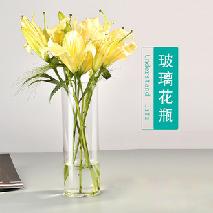 Simple High Borosilicate Vase Glass Ornaments Lily Rose Flower-arranging Ins Style Desktop Hydroponic Glass Small Vase