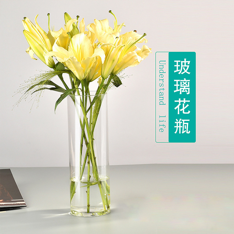 Simple High Borosilicate Vase Glass Ornaments Lily Rose Flower-arranging Ins Style Desktop Hydroponic Glass Small Vase
