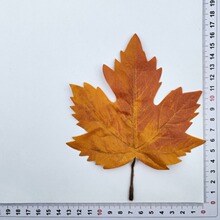 �S�����l������~�β控�׽zӡ�~�ɘ�֦�b������ɫ�x��