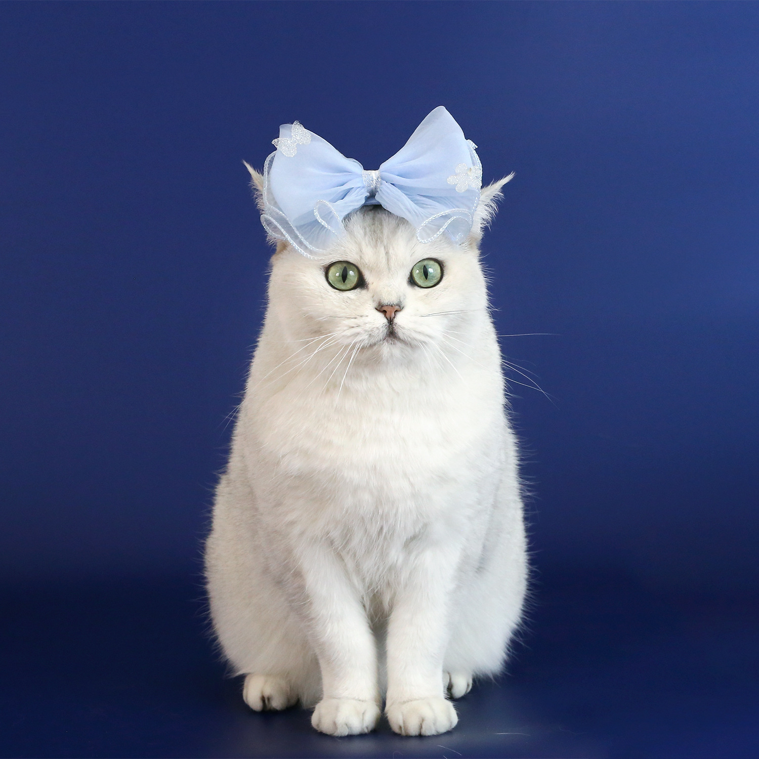 Mascotas princesa fantasía mariposa festival bandas de cabello felino malziano pequeño perro muñeca de algodón malla accesorios de tocado