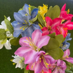 ���G����c���滨�Ļ�Y�廨���·���ٻ��Ƶ�ҾӔ[���b��ֹ���