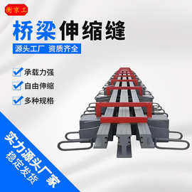 异型钢伸缩缝胶条F80型E型RG毛勒缝CQF-C40公路桥梁模数式伸缩缝