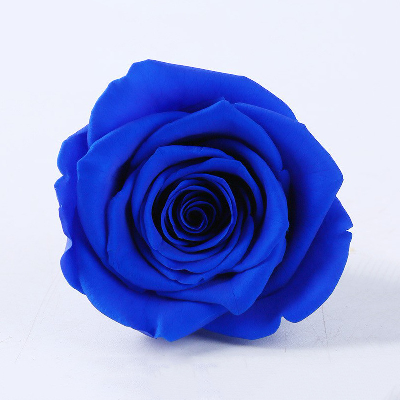 Caja de regalo acrílico de flores eternas, rosa, día de San Valentín, regalo de cumpleaños para la novia, decoración de alta calidad