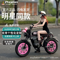 新国标电动自行车SUPER73减震山地越野变速通用男女助力电瓶车
