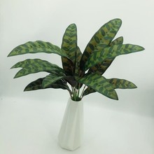 ����Gֲ�L��ȸ�ָ�ܛ�zֲ��Ҿ��b����Ի�����@�쾰�[���߷���