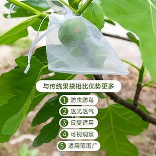 J8 Rainproof Fruit Insect-Proof Breathable Cold-Proof Mesh Bag Grape Fig Bird-Proof Cloth Fruit Bagging Other G3
