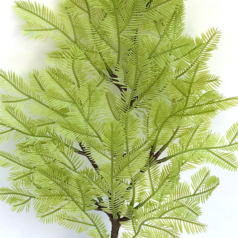 XRB-019 水杉叶四叉枝1.jpg