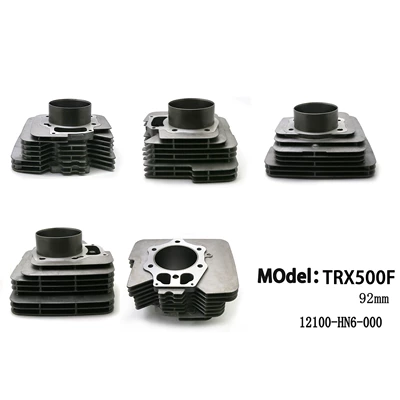Cylinder and parts (Foreman 500) Atv Engine