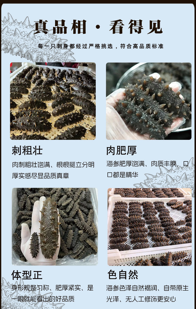 Ready to Eat Sea Cucumber Frozen Cooked 500g Vacuum Packed Seafood Supply quality and texture