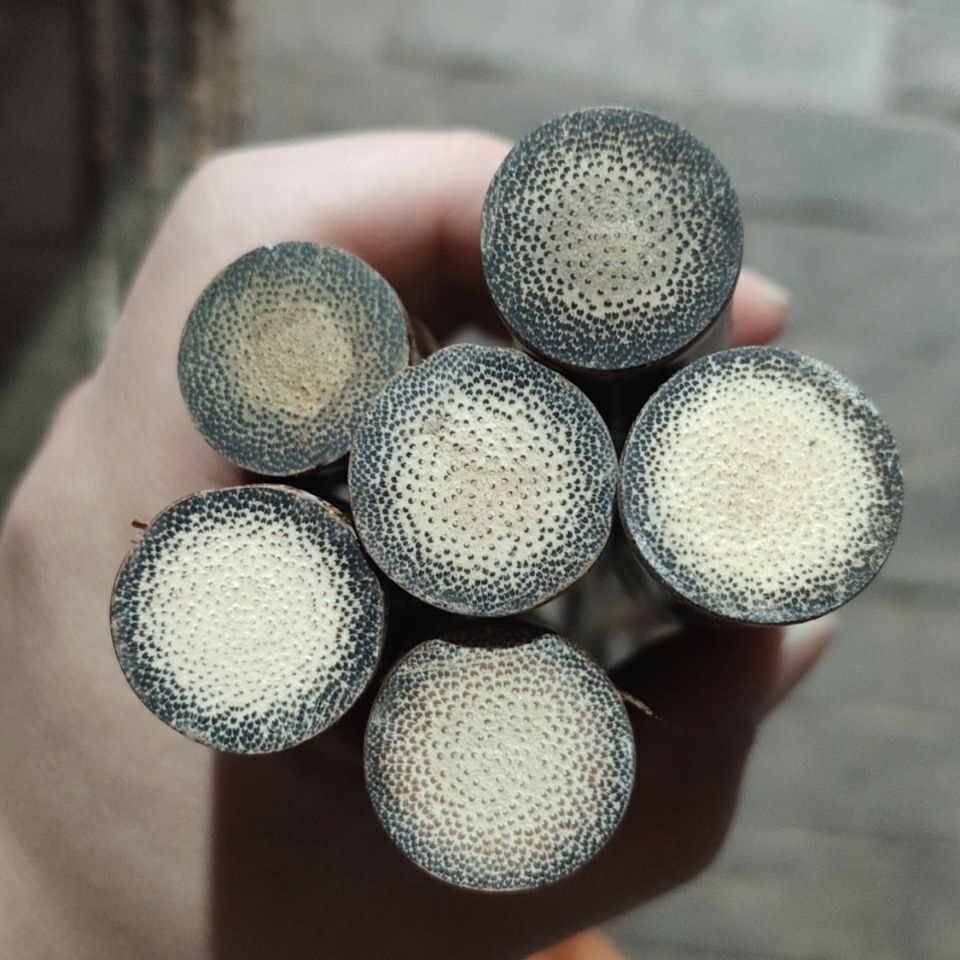 b96e2dc0-3c98-473d-97b2-de34f5ff5cf5.jpe