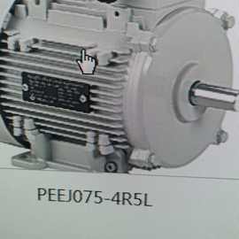 电机PEEJ075-4R5L