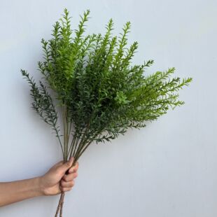 �������С���m �S���~ �羳�Gֲ����ֲ���b廨��cɭϵ�����l
