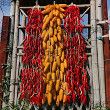 �߲˴����������������r�Ҙ��ͥԺ�b��r����ģ�͒��