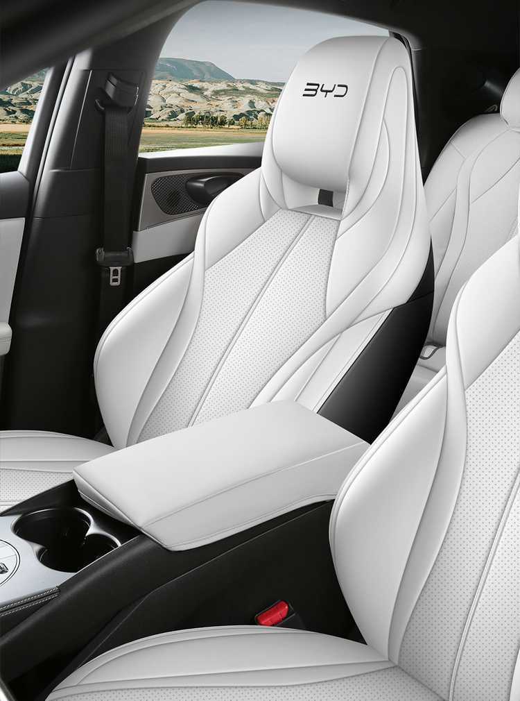 2025 BYD Seal 06DMI Special Seat Cover Full Seat Cover Four Seasons Car Cushion Leather Cushion